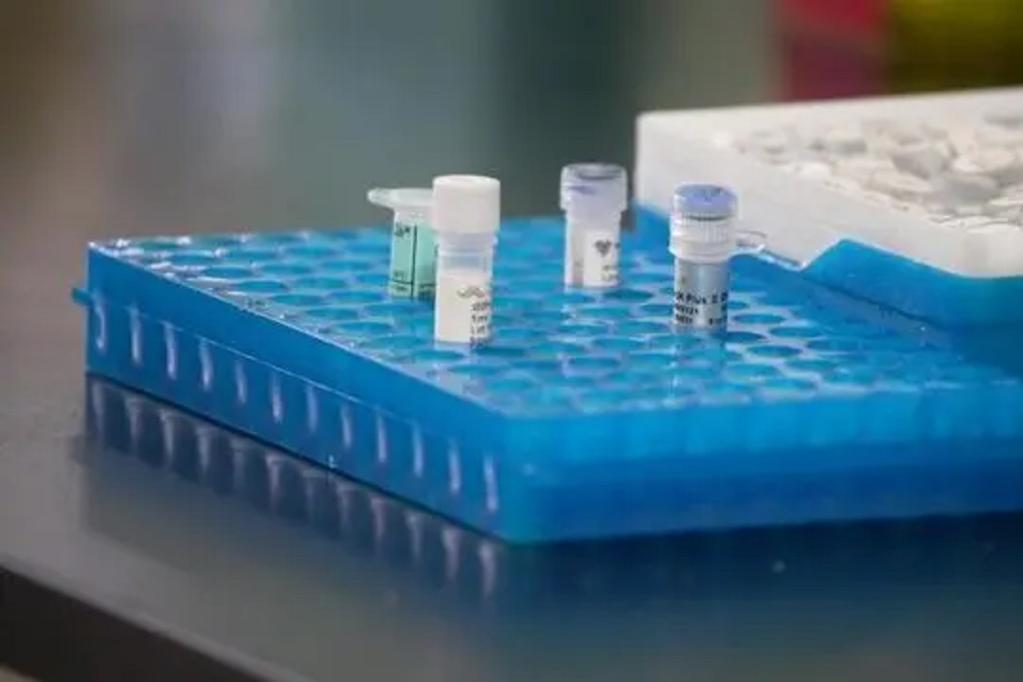 ������NЧ�� ���ϴ�W(xu��)���Ƴ��׿��Ͳ�Һ�����NоƬ